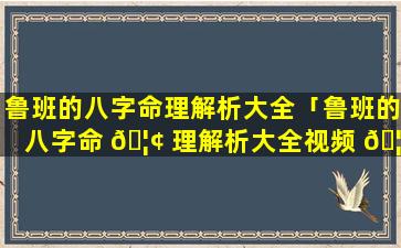 鲁班的八字命理解析大全「鲁班的八字命 🦢 理解析大全视频 🦈 」